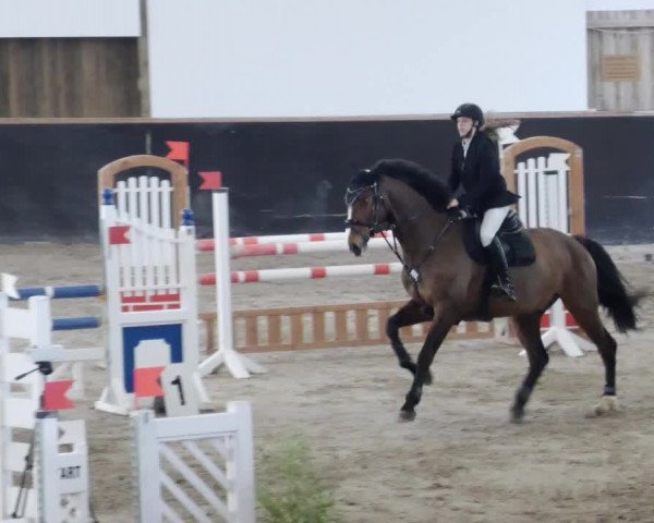 Reitturnier Weil der Stadt 2024