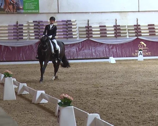 Reitturnier Eicherloh RH Laurent/Obb. 2024