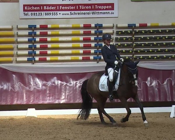 Reitturnier Eicherloh RH Laurent/Obb. 2024
