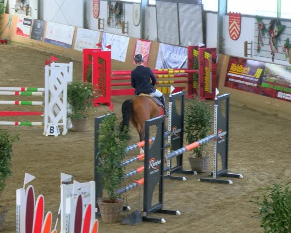 Reitturnier Borgholzhausen-Westbarthausen 2024