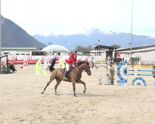 Reitturnier Giubiasco 2024