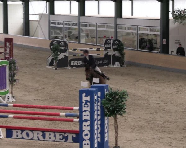 Reitturnier Borken 2024