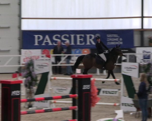 Reitturnier Borken 2024