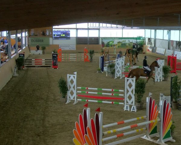 Reitturnier Borgholzhausen-Westbarthausen 2024
