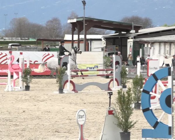 Reitturnier Giubiasco 2024