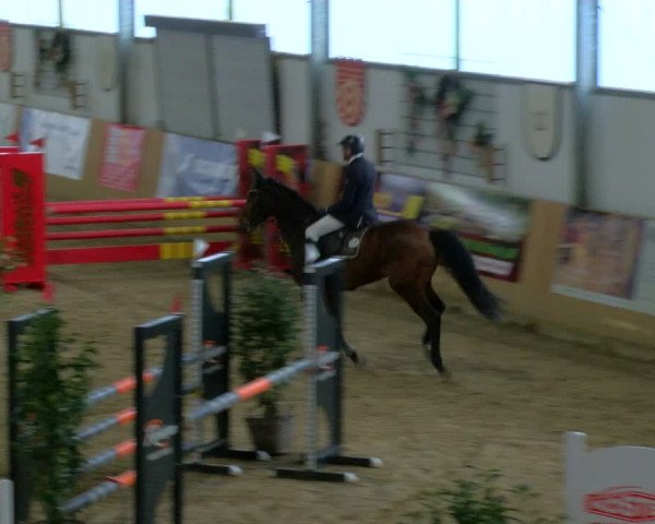 Reitturnier Borgholzhausen-Westbarthausen 2024