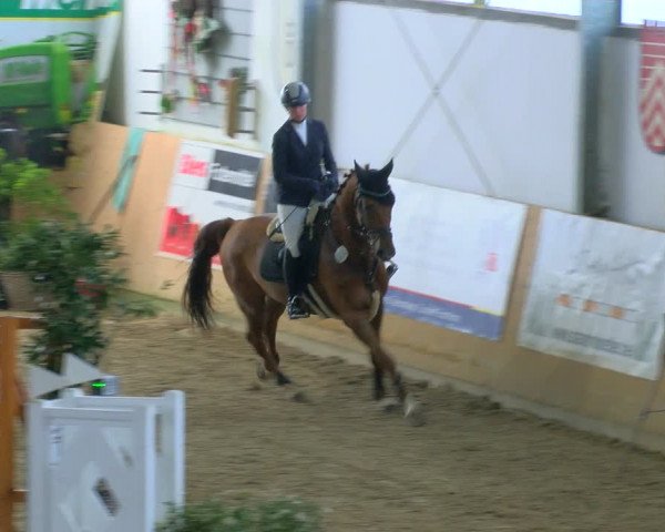 Reitturnier Borgholzhausen-Westbarthausen 2024
