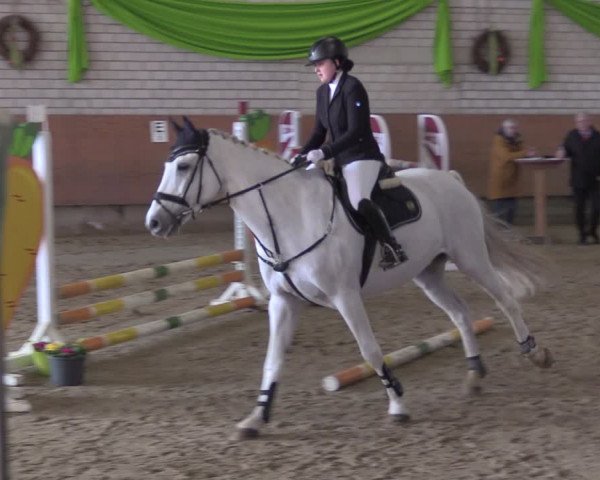 Reitturnier Hellefeld 2024