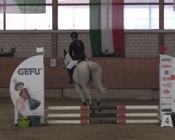 Reitturnier Hellefeld 2024