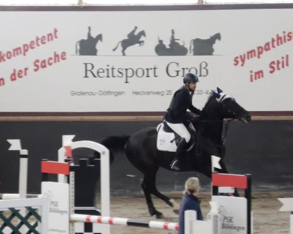 Reitturnier Weil der Stadt 2024