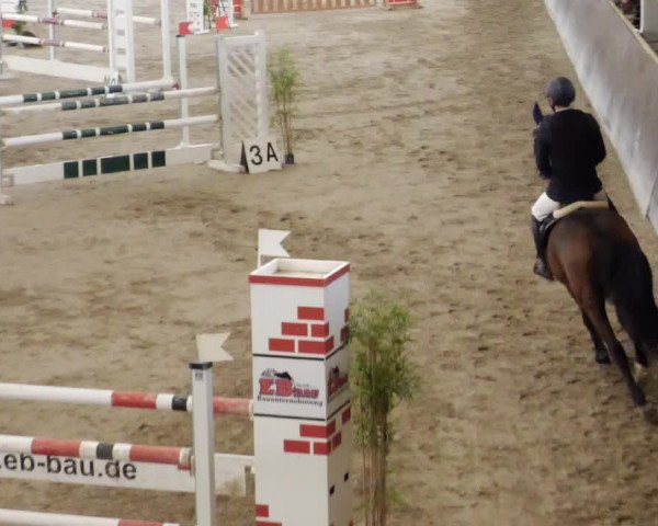 Reitturnier Weil der Stadt 2024
