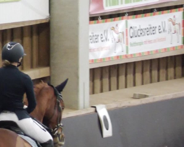 Reitturnier Weil der Stadt 2024