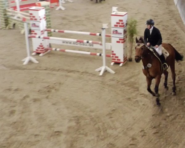 Reitturnier Weil der Stadt 2024
