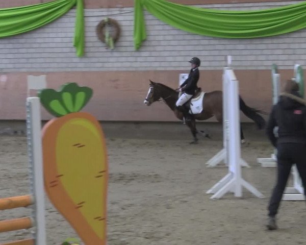 Reitturnier Hellefeld 2024