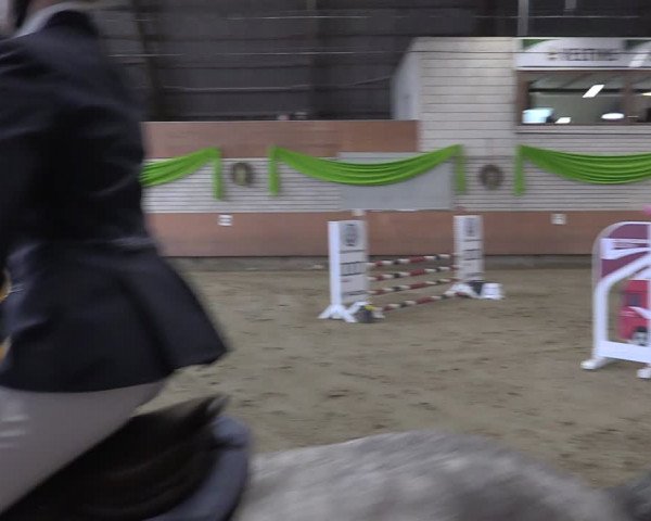 Reitturnier Hellefeld 2024