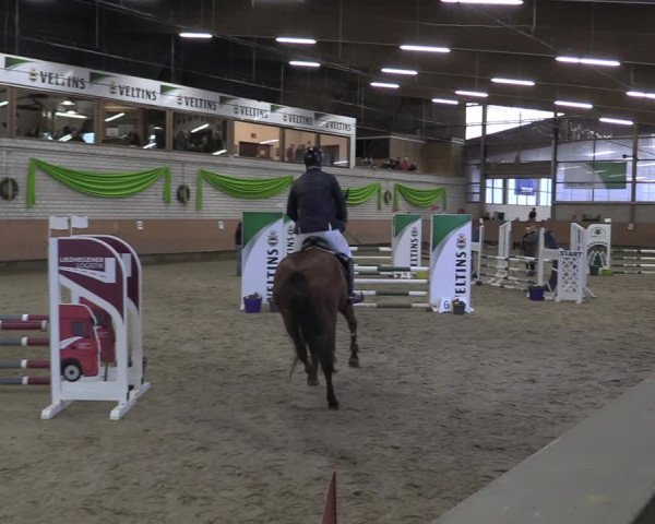 Reitturnier Hellefeld 2024