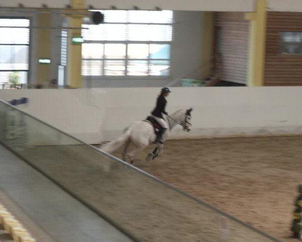 Reitturnier Stadl-Paura 2024