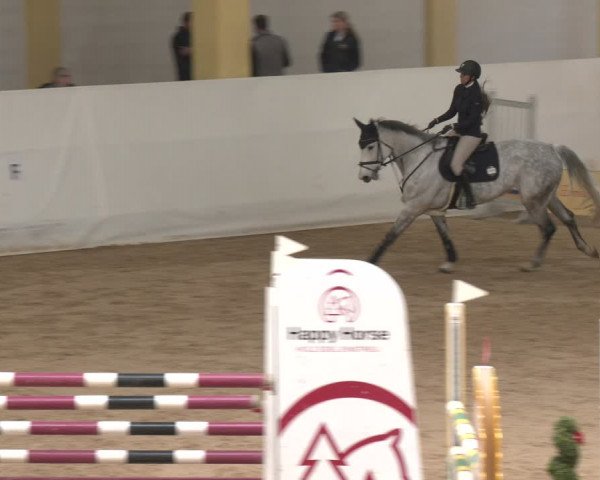 Reitturnier Stadl-Paura 2024