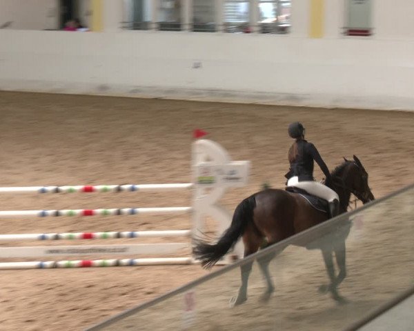 Reitturnier Stadl-Paura 2024