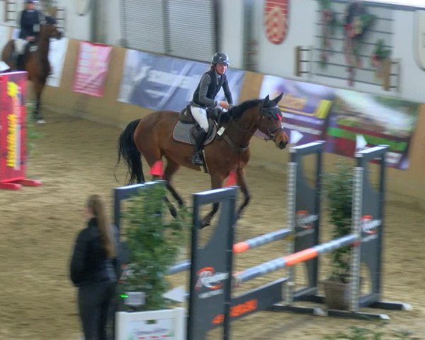 Reitturnier Borgholzhausen-Westbarthausen 2024