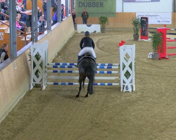 Reitturnier Borgholzhausen-Westbarthausen 2024