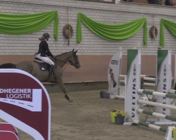 Reitturnier Hellefeld 2024