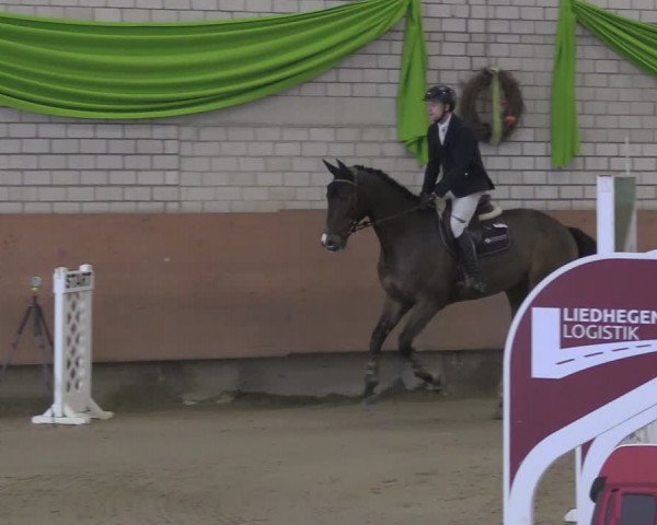 Reitturnier Hellefeld 2024