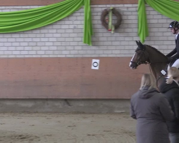 Reitturnier Hellefeld 2024