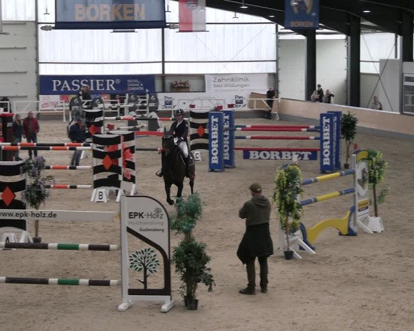 Reitturnier Borken 2024