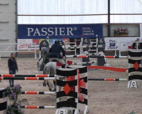 Reitturnier Borken 2024