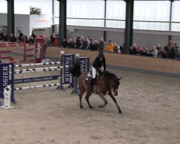 Reitturnier Borken 2024