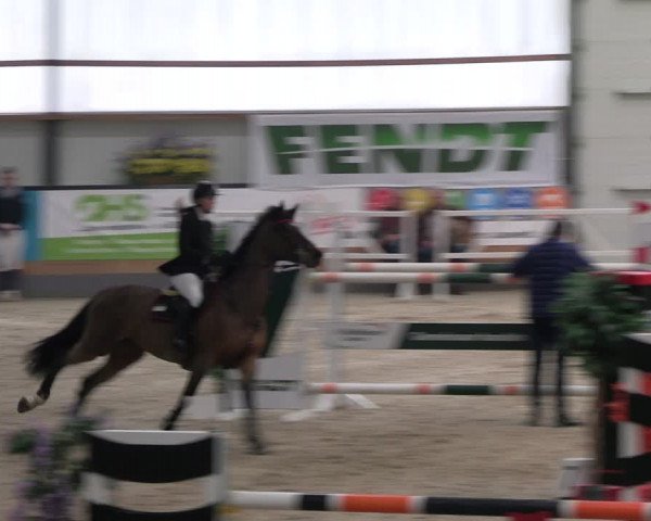 Reitturnier Borken 2024