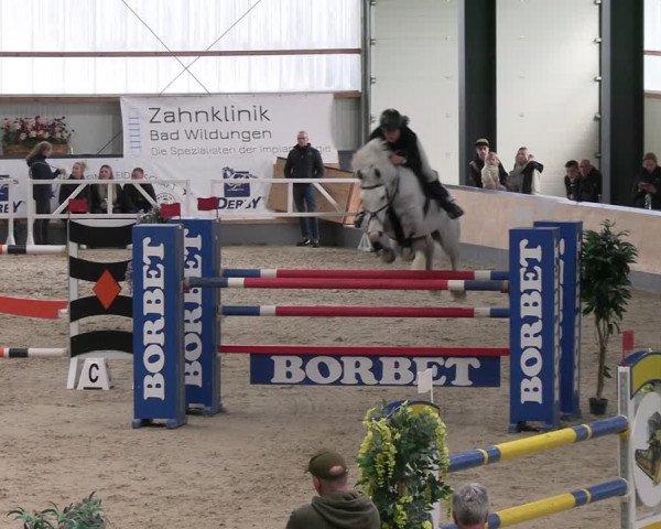 Reitturnier Borken 2024