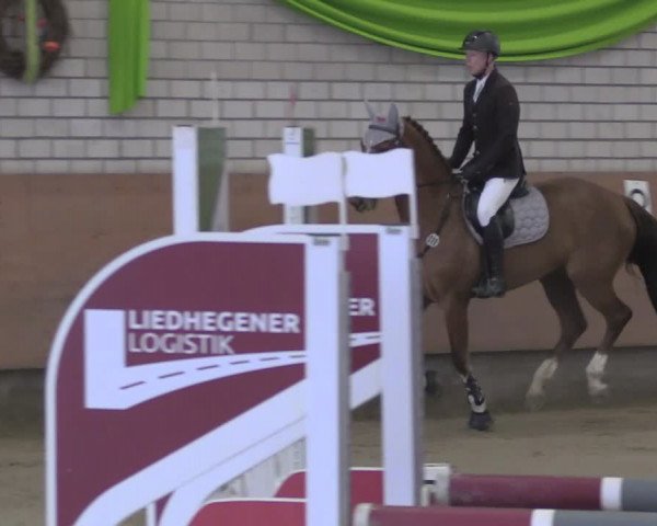 Reitturnier Hellefeld 2024