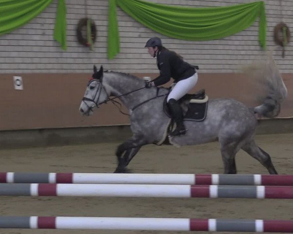 Reitturnier Hellefeld 2024