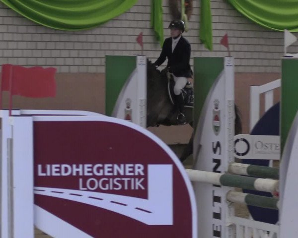 Reitturnier Hellefeld 2024