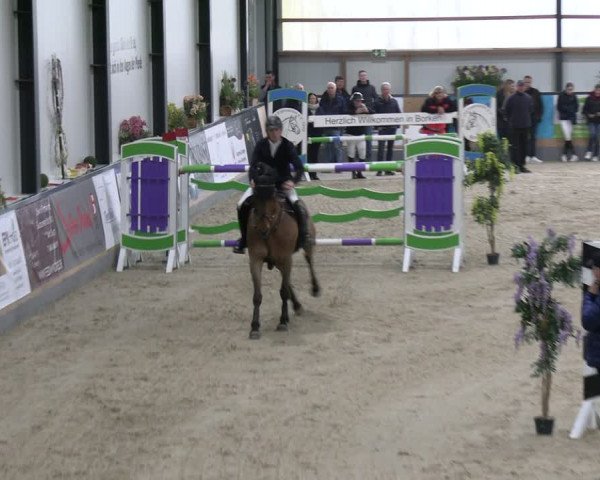 Reitturnier Borken 2024
