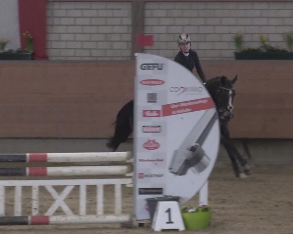 Reitturnier Hellefeld 2024