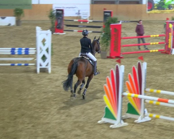 Reitturnier Borgholzhausen-Westbarthausen 2024