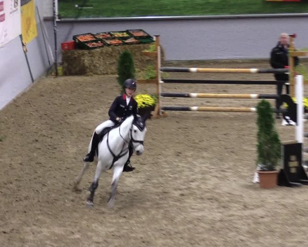 23. Legdener Ponymeeting 2021