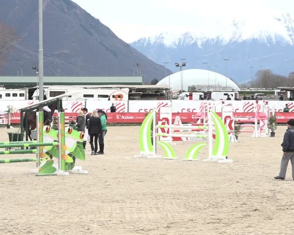 Reitturnier Giubiasco 2024