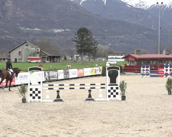 Reitturnier Giubiasco 2024