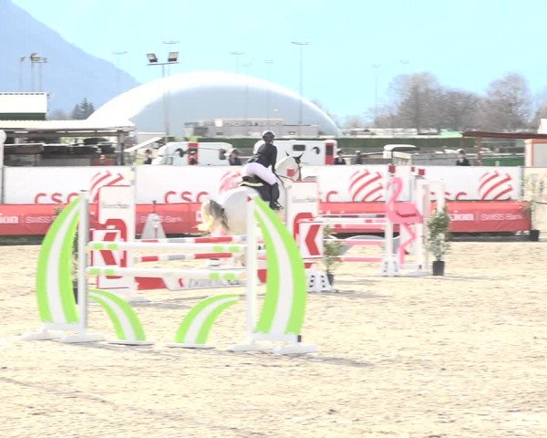 Reitturnier Giubiasco 2024