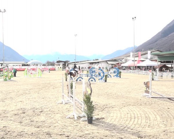 Reitturnier Giubiasco 2024