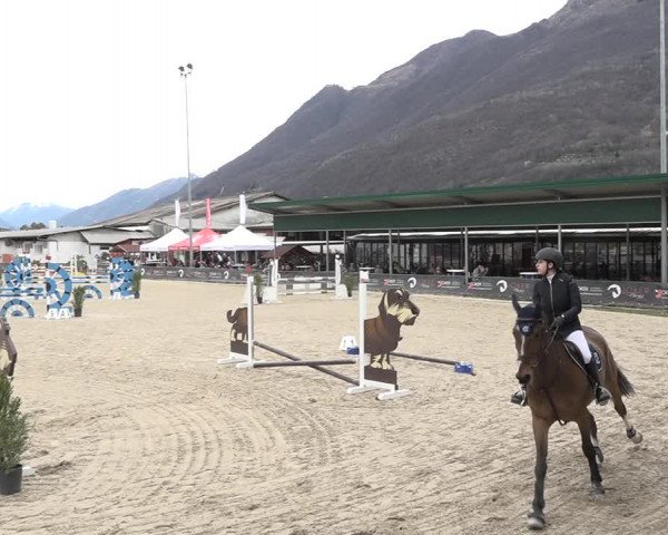 Reitturnier Giubiasco 2024