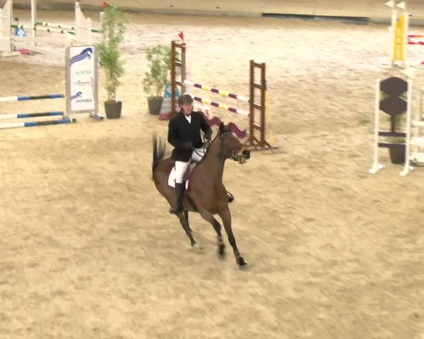 Reitturnier Schaffhausen 2024