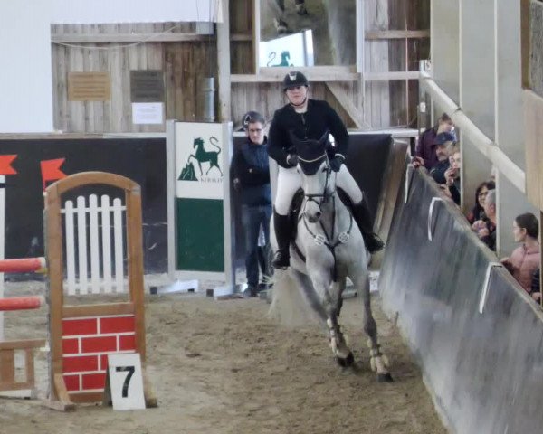 Reitturnier Weil der Stadt 2024