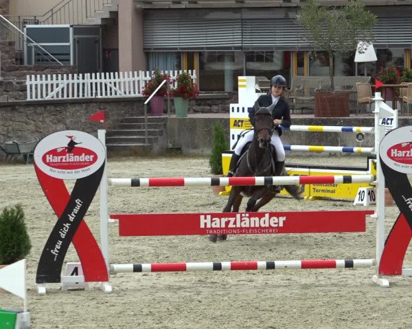 Erntedank Springturnier Nörten-Hardenberg 2021