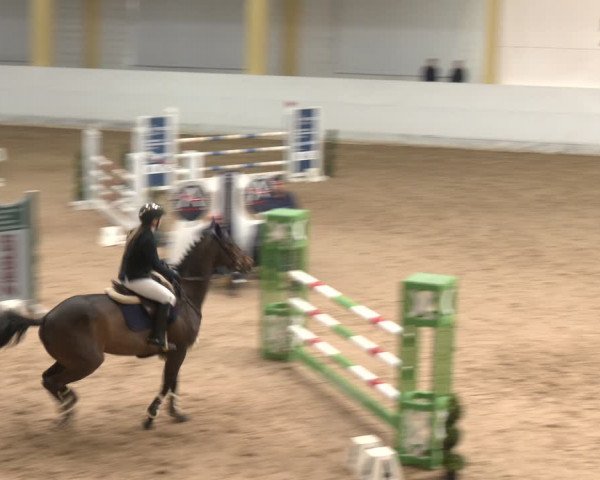 Reitturnier Stadl-Paura 2024
