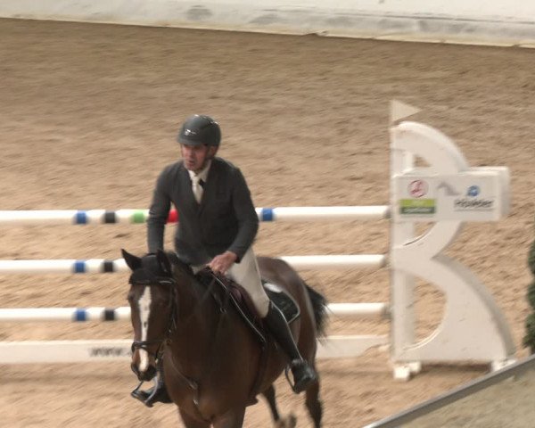 Reitturnier Stadl-Paura 2024